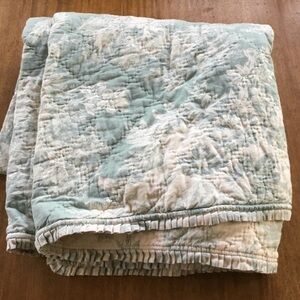 Pottery Barn Queen/Full Toile Quilt